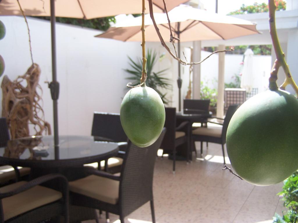 Villa Mermoz 达喀尔 外观 照片